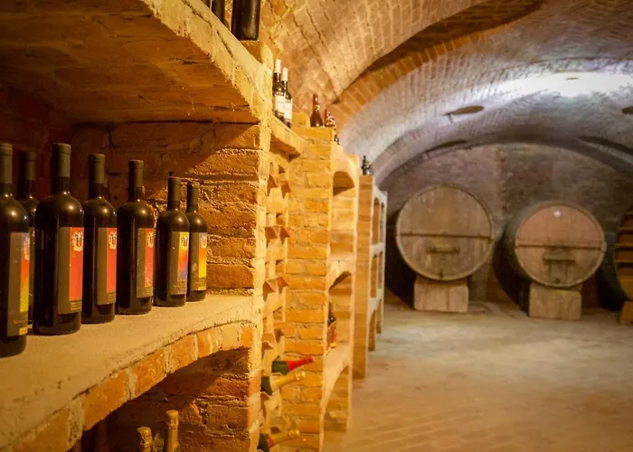 Grande Casa Con Giardino E Box Auto, 3 E 3 Bagni *